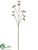 Cotton Pod Spray - Brown Light - Pack of 24