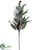 Peacock Spray - Peacock - Pack of 12