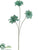 Poinsettia Spray - Aqua - Pack of 12