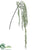 Willow Hanging Spray - Green Snow - Pack of 24