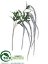 Silk Plants Direct Amaranthus Spray - Silver - Pack of 12