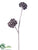Lotus Pod Spray - Brown Glittered - Pack of 24