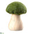 Mushroom - Green Natural - Pack of 6