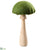 Mushroom - Green Natural - Pack of 2