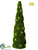 Moss Topiary - Green - Pack of 2