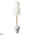 Feather Tree - White - Pack of 2