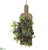 Pine, Pine Cone Wall Decor - Green Brown - Pack of 1