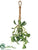 Mistletoe Hanger - Green White - Pack of 12