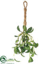 Silk Plants Direct Mistletoe Hanger - Green White - Pack of 12