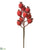 Beaded Rosehip Pick - Red - Pack of 24