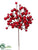 Berry Pick - Red - Pack of 36