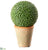 Berry Ball - Green - Pack of 2