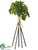 Berry Bundle - Green - Pack of 24