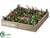 Berry, Bayleaf Wreath - Red Green - Pack of 2