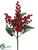Berry, Eucalyptus Leaf Spray - Red - Pack of 12