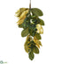 Silk Plants Direct Magnolia Leaf, Eucalyptus , Pine Door Swag - Green Gold - Pack of 4