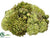 Sedum, Protea Half Ball Centerpiece - Green - Pack of 3