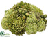 Silk Plants Direct Sedum, Protea Half Ball Centerpiece - Green - Pack of 3