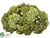 Sedum, Protea Half Ball Centerpiece - Green - Pack of 2