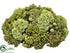 Silk Plants Direct Sedum, Protea Half Ball Centerpiece - Green - Pack of 2