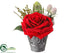 Silk Plants Direct Velvet Rose, Berzelia - Red - Pack of 6