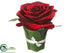 Silk Plants Direct Velvet Rose - Burgundy Red - Pack of 12