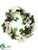 Amaryllis, Pine Cone Wreath - White Green - Pack of 1