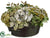 Hydrangea, Magnolia, Poinsettia, Rose, Berry - Green - Pack of 1