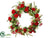 Rose, Protea, Berry, Skimmia Wreath - Red White - Pack of 1