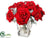 Velvet Rose, Dusty Miller - Red Green - Pack of 2