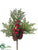 Cedar, Berry, Pine Cone Pick - Red Green - Pack of 12