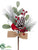 Pine, Berry, Cardinal Pick - Red Green - Pack of 12