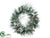 Pine, Berry, Cone Wreath - White Brown - Pack of 2