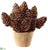 Plastic Pine Cone - Brown Green - Pack of 2