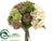 Hydrangea, Rose, Amaryllis Bouquet - Eggshell Green - Pack of 6