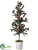 Pine Cone, Pine Topiary - Brown Green - Pack of 1
