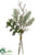 Pine, Succulent Bundle - Green - Pack of 12