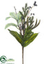 Silk Plants Direct Antler, Berry, Magnolia Leaf, Pine Spray - Green - Pack of 6