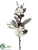 Iced Poinsettia, Pine Cone, Pine Spray - White - Pack of 6