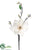 Magnolia Spray - White - Pack of 12