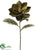 Gilded Magnolia Spray - Green Gold - Pack of 12