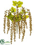 Silk Plants Direct Amaranthus Hanging Bush - Gold - Pack of 12