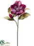 Silk Plants Direct Glittered Velvet Magnolia Spray - Eggplant - Pack of 24