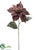 Charisma Poinsettia Spray - Chocolate - Pack of 12