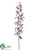 Vanda Orchid Spray - Gray - Pack of 12
