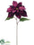 Poinsettia Spray - Plum - Pack of 12