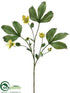Silk Plants Direct Helleborus Spray - Green - Pack of 6