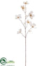 Silk Plants Direct Dogwood Spray - Ivory - Pack of 12