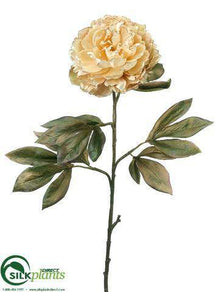 Glittered Peony Spray - Beige - Pack of 12