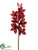 Glittered Cymbidium Orchid Spray - Burgundy Gold - Pack of 6